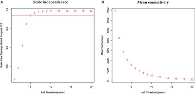 Weighted Gene Co-expression Network Analysis Identifies Specific Modules and Hub Genes Related to Subacute Ruminal Acidosis